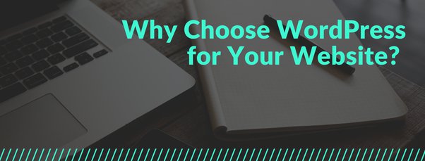 为什么要为您的网站选择 WordPress？